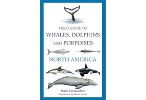 Field Guide to Whales, Dolphins and Porpoises of North America