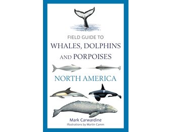 Field Guide to Whales, Dolphins and Porpoises of North America