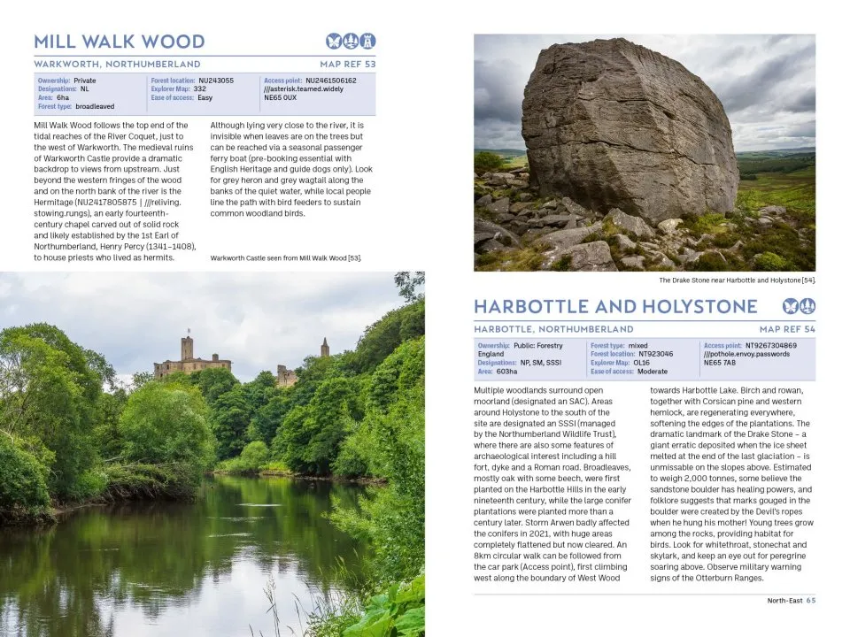 The Forest Guide England - Copses, Woods and Forests