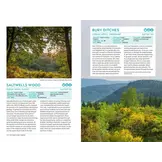 The Forest Guide England - Copses, Woods and Forests