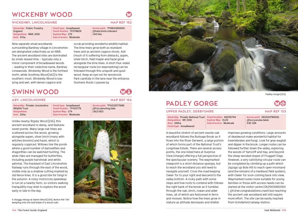 The Forest Guide England - Copses, Woods and Forests