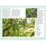 The Forest Guide England - Copses, Woods and Forests