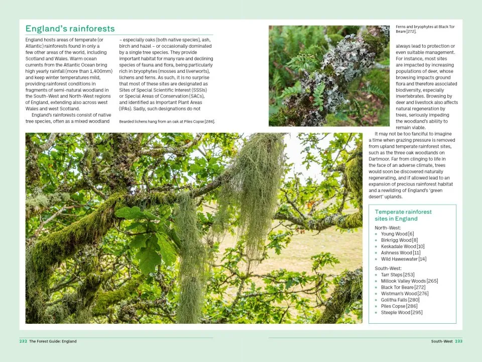 The Forest Guide England - Copses, Woods and Forests