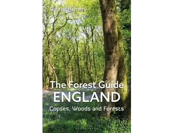 The Forest Guide England