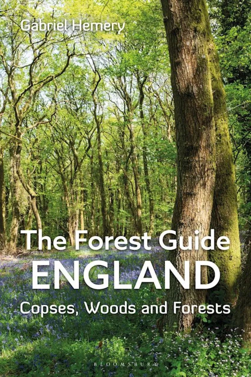The Forest Guide England - Copses, Woods and Forests