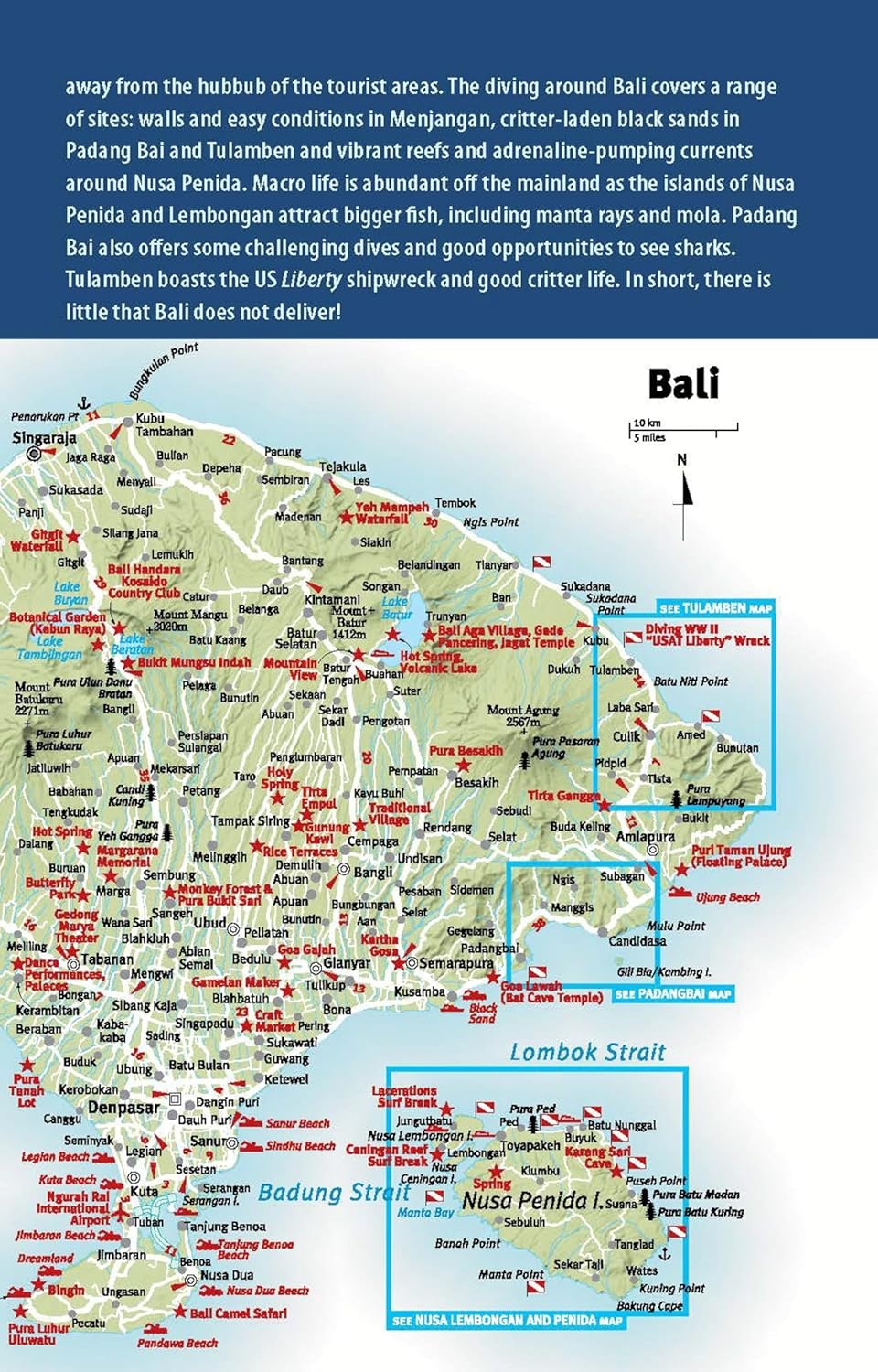 The Ultimate Guide to Diving in Indonesia