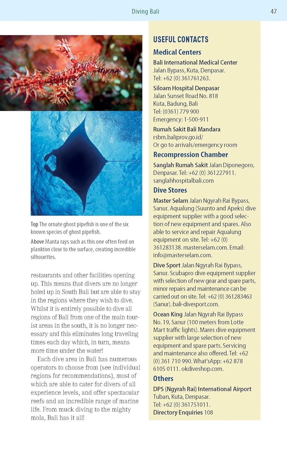 The Ultimate Guide to Diving in Indonesia