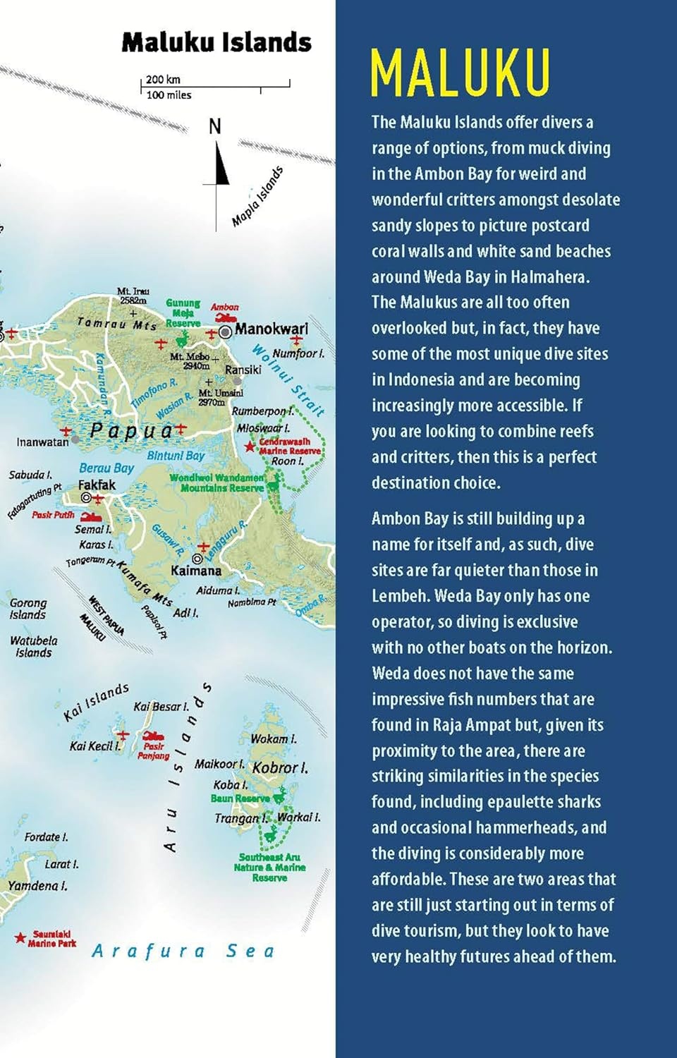 The Ultimate Guide to Diving in Indonesia