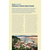 The Ultimate Guide to Diving in Indonesia