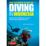 The Ultimate Guide to Diving in Indonesia