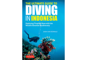 The Ultimate Guide to Diving in Indonesia