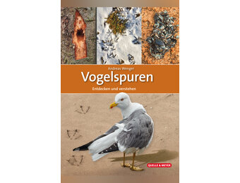 Vogelspuren