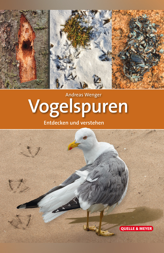 Vogelspuren - Entdecken und verstehen