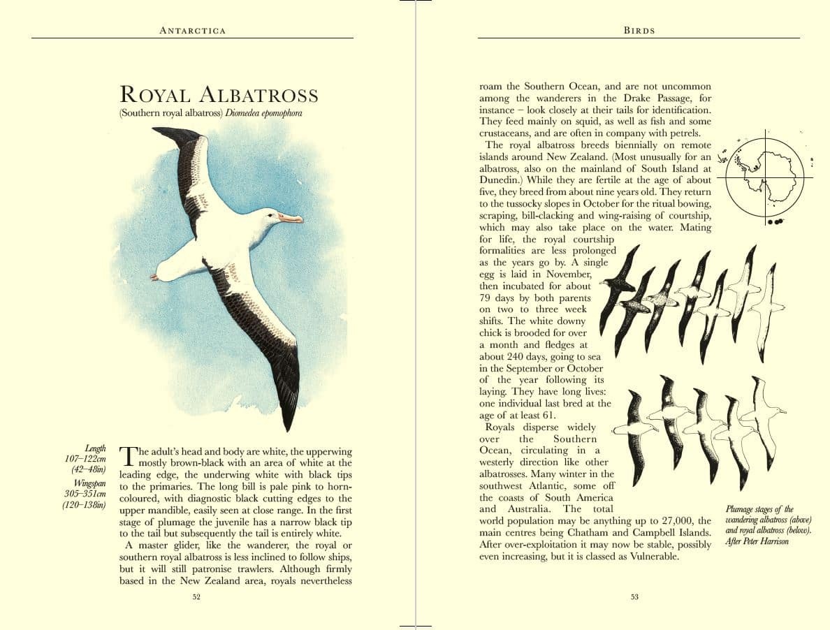 Bradt Wildlife Guide: Antarctica - A Guide to the Wildlife