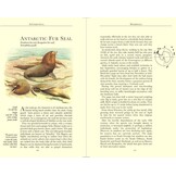 Bradt Wildlife Guide: Antarctica - A Guide to the Wildlife