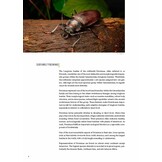 Subfamily Prioninae of the World I