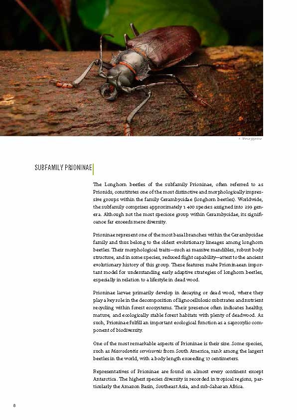 Subfamily Prioninae of the World I