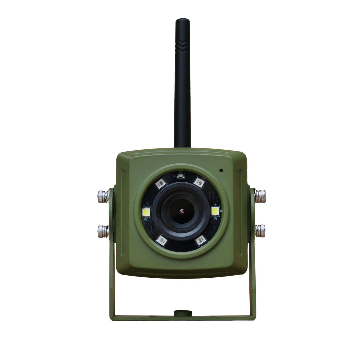 Green Feathers Wireless Bird Box Camera & Screen Pack