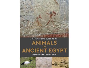 The Animals of Ancient Egypt