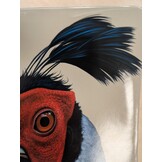 Beschädigte Kopie - Birds of Thailand