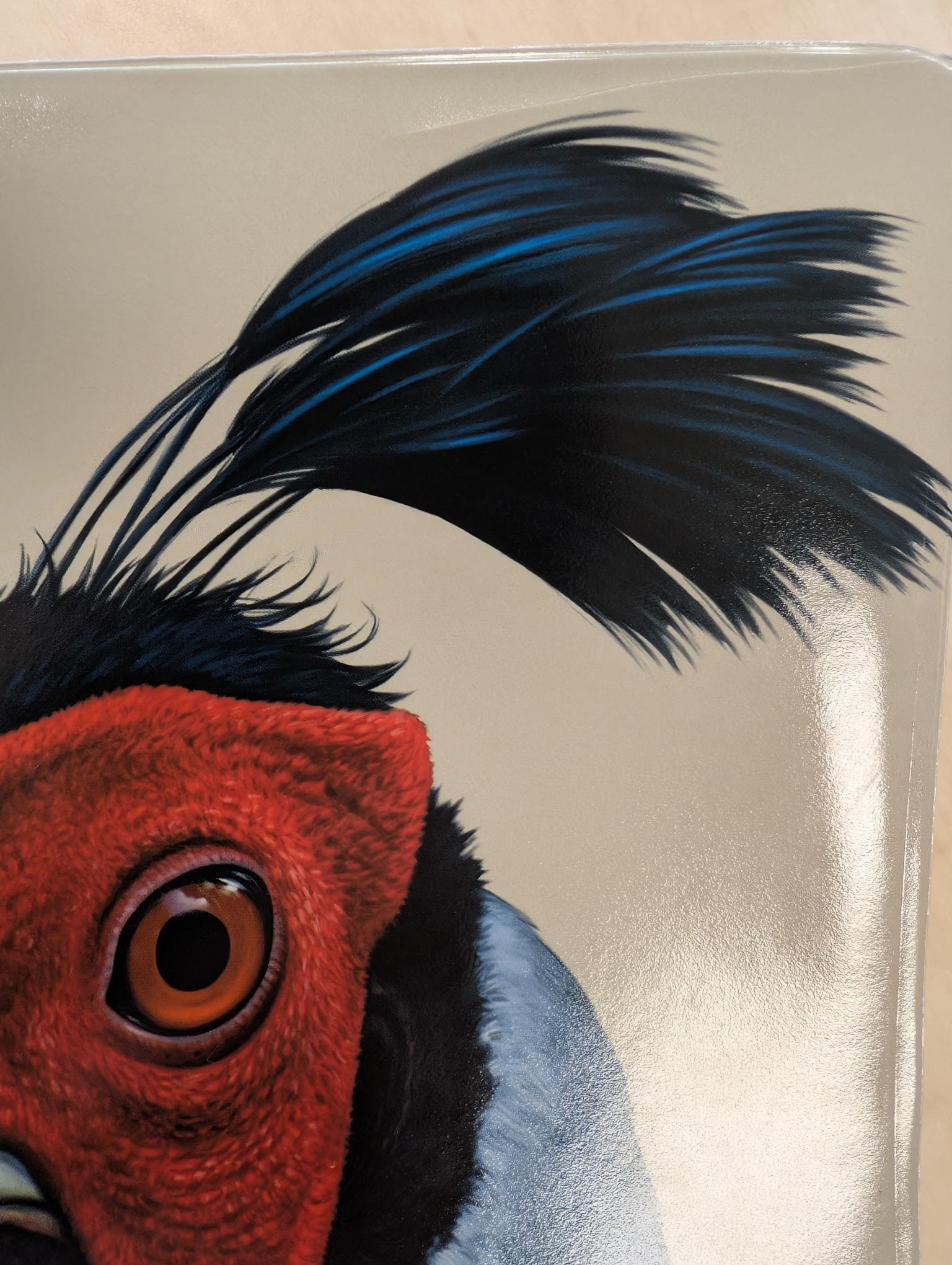 Beschädigte Kopie - Birds of Thailand