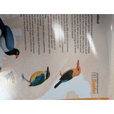 Beschadigd exemplaar - Birds of Thailand