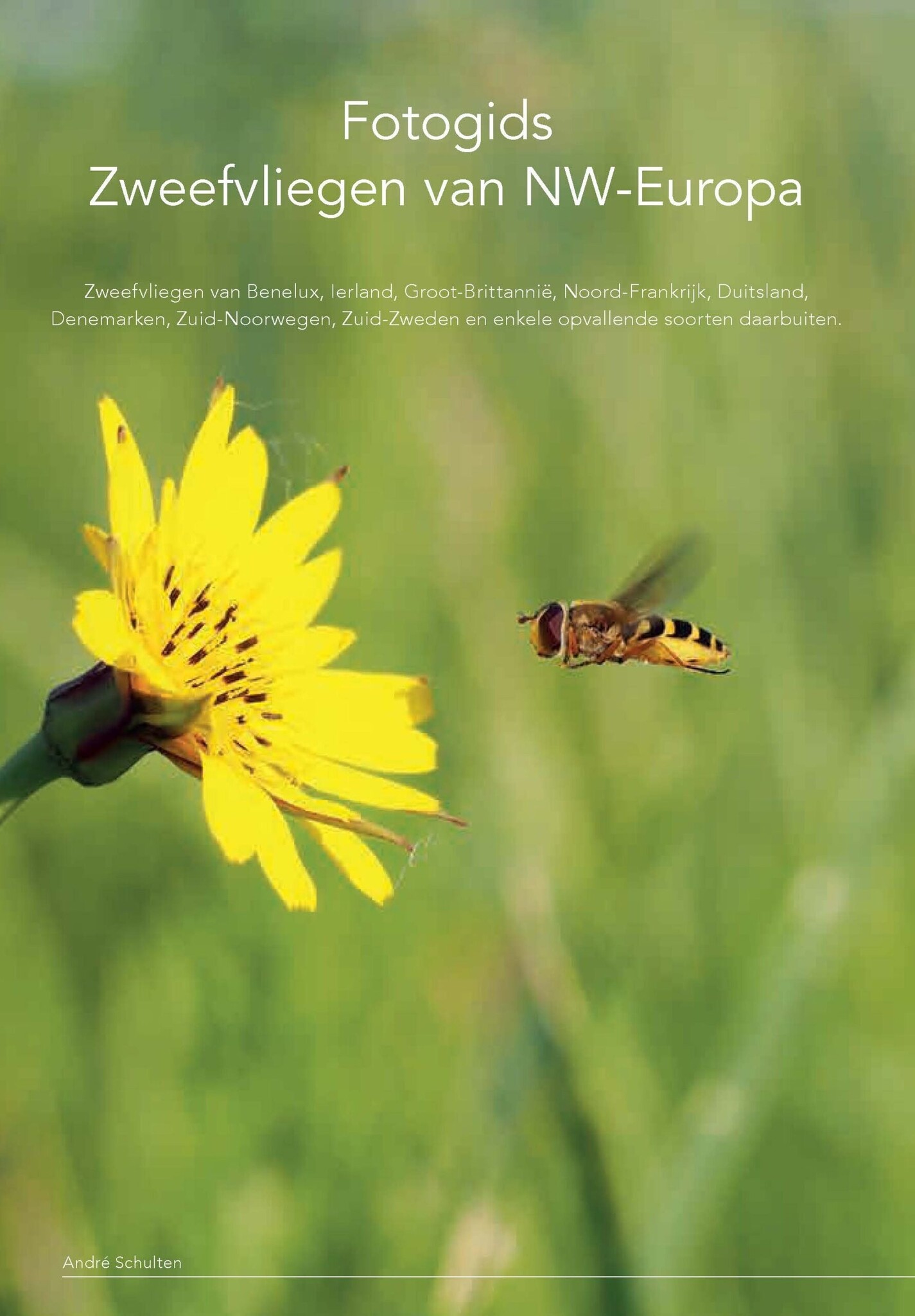 Fotogids Zweefvliegen van NW-Europa