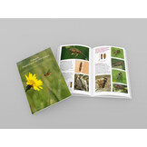 Fotogids Zweefvliegen van NW-Europa