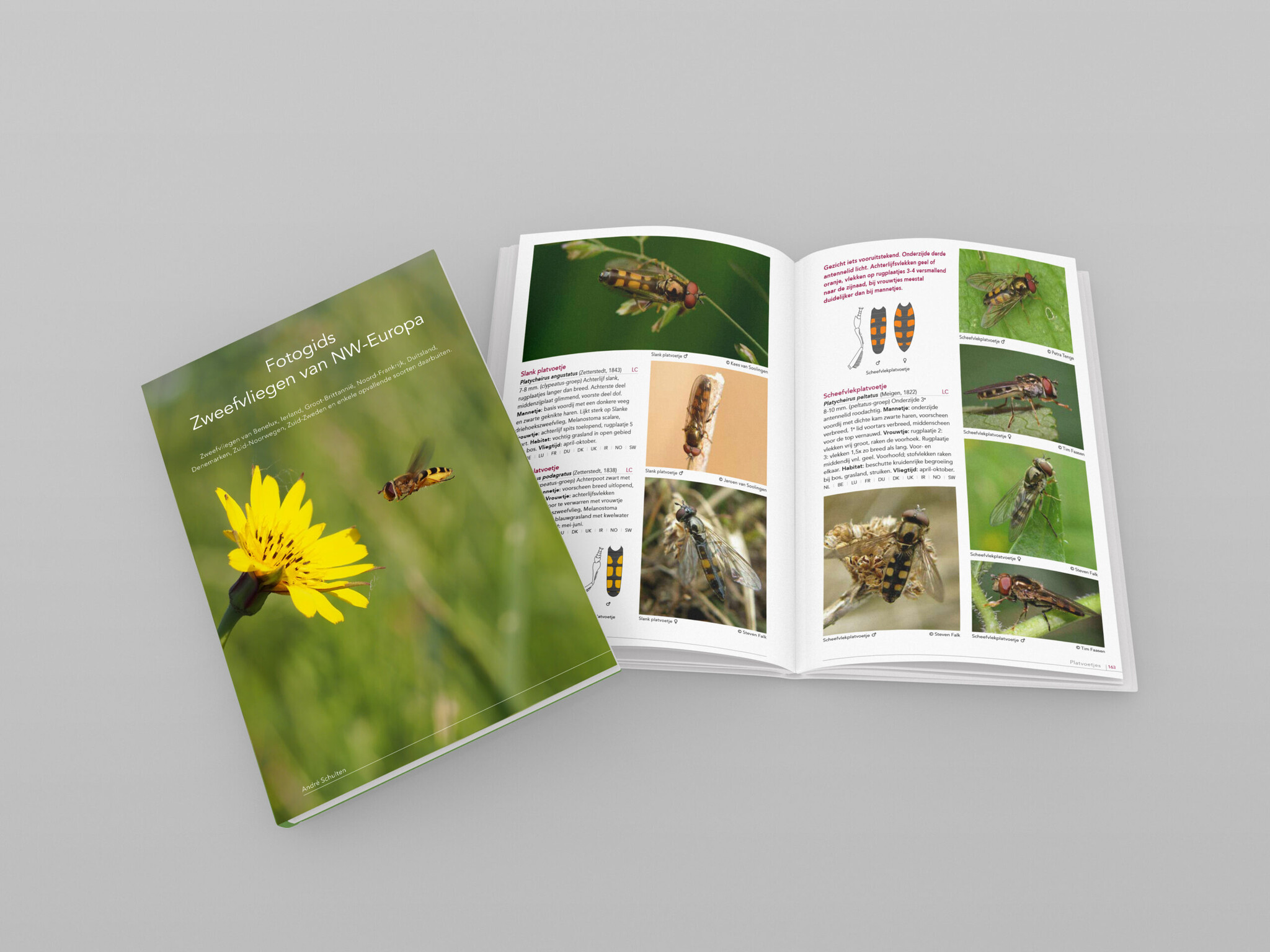 Fotogids Zweefvliegen van NW-Europa