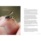 Fotogids Zweefvliegen van NW-Europa