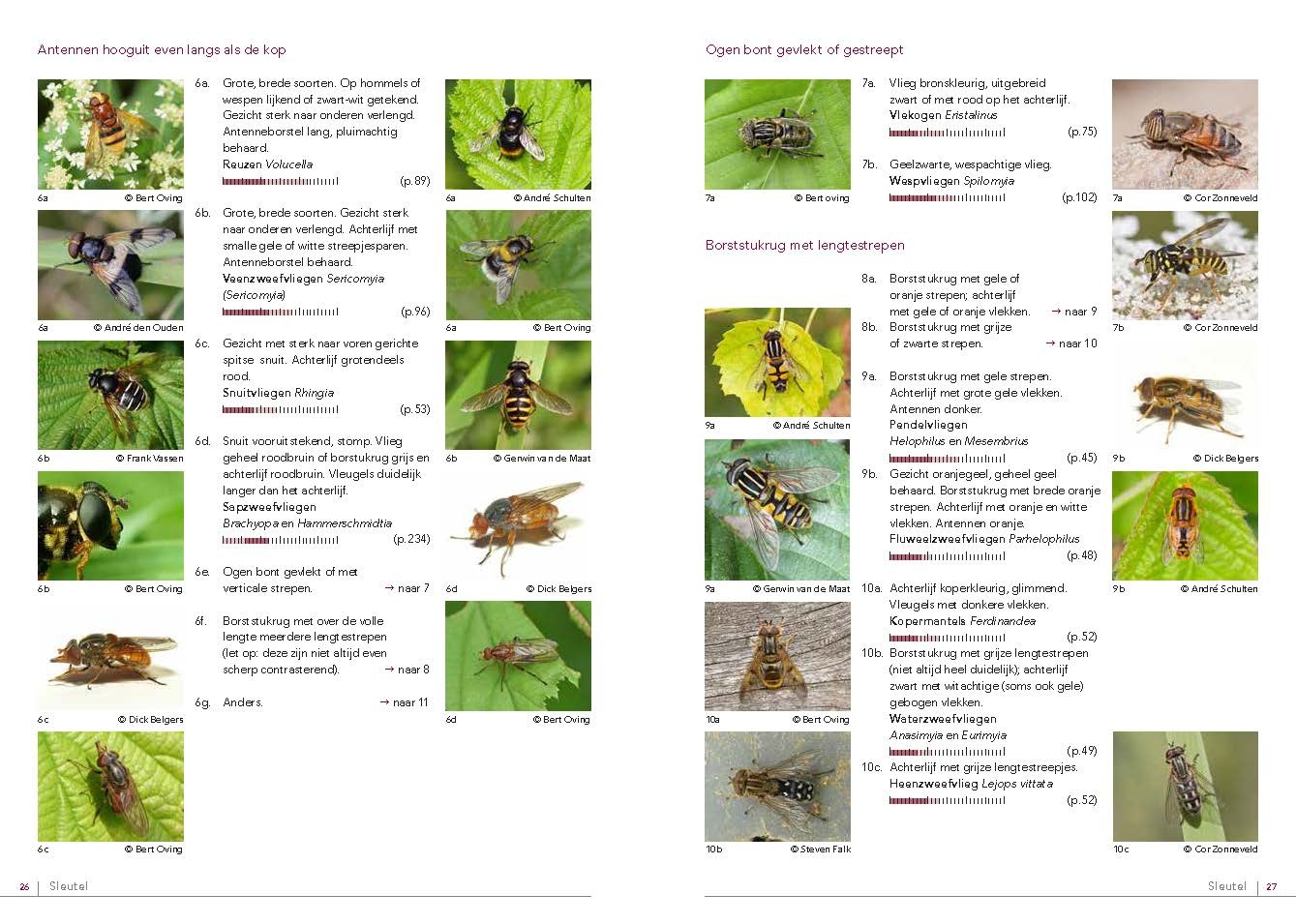 Fotogids Zweefvliegen van NW-Europa