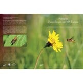 Fotogids Zweefvliegen van NW-Europa