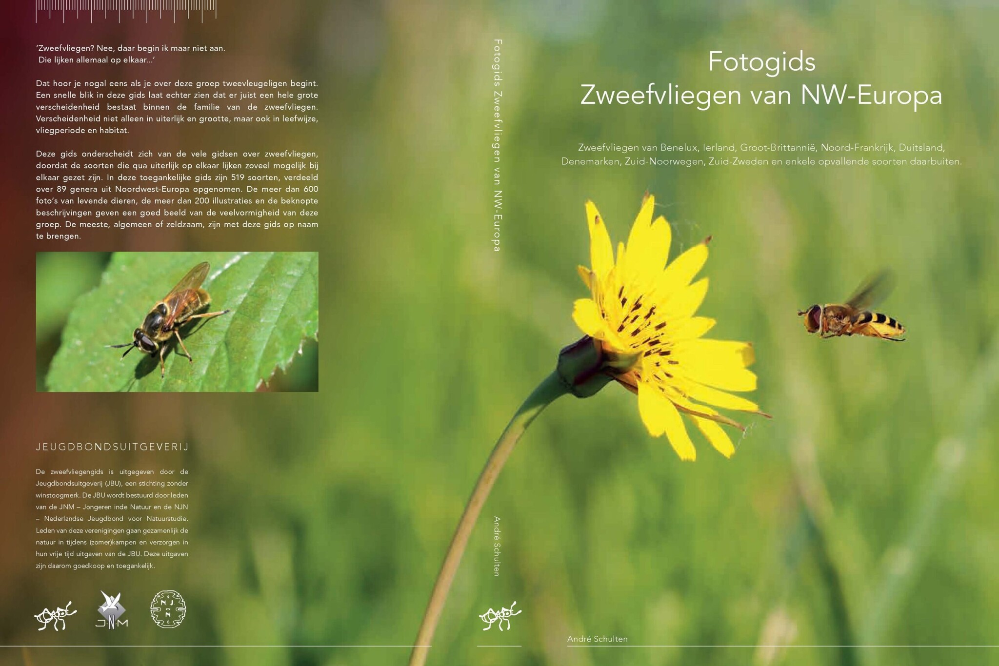 Fotogids Zweefvliegen van NW-Europa