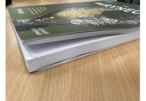 Damaged copy - The Wryneck