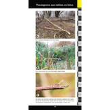 Weylin Veldgids Overige Sporen van West-Europese Dieren