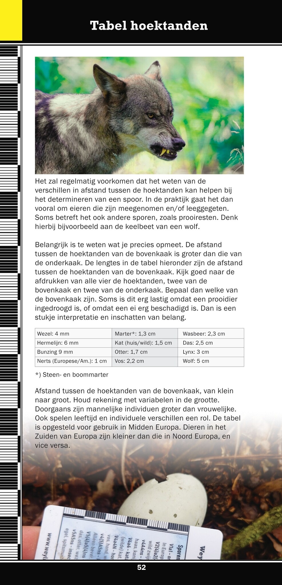 Weylin Veldgids Overige Sporen van West-Europese Dieren