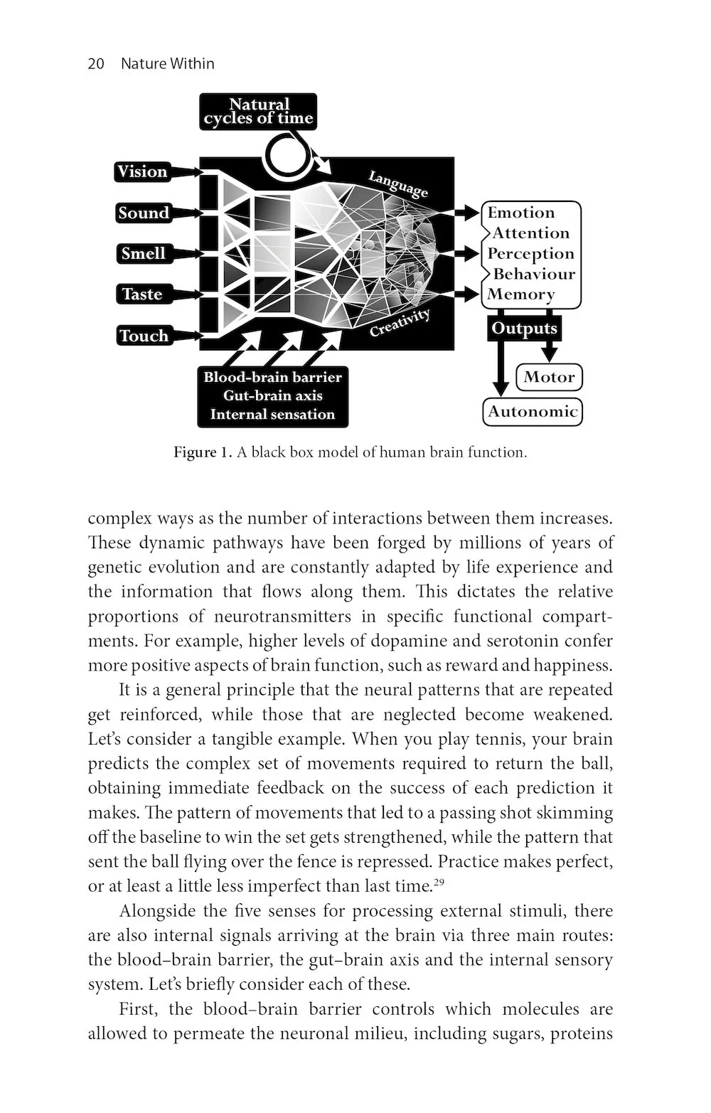 Nature Within - How the Natural World Shapes our Minds, Bodies & Health