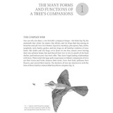 The Hidden Company That Trees Keep - Life from Treetops to Root Tips