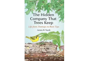 The Hidden Company That Trees Keep