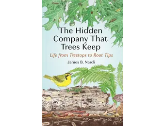The Hidden Company That Trees Keep