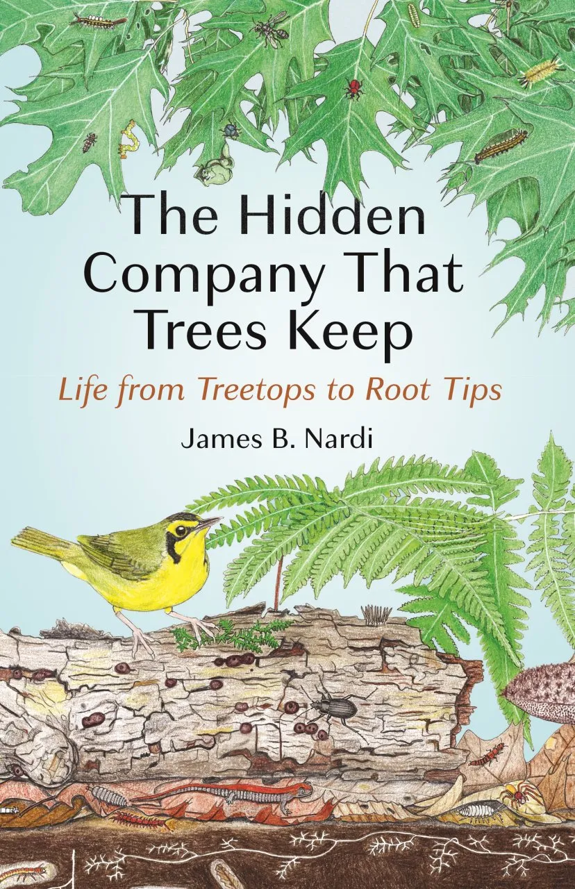 The Hidden Company That Trees Keep - Life from Treetops to Root Tips