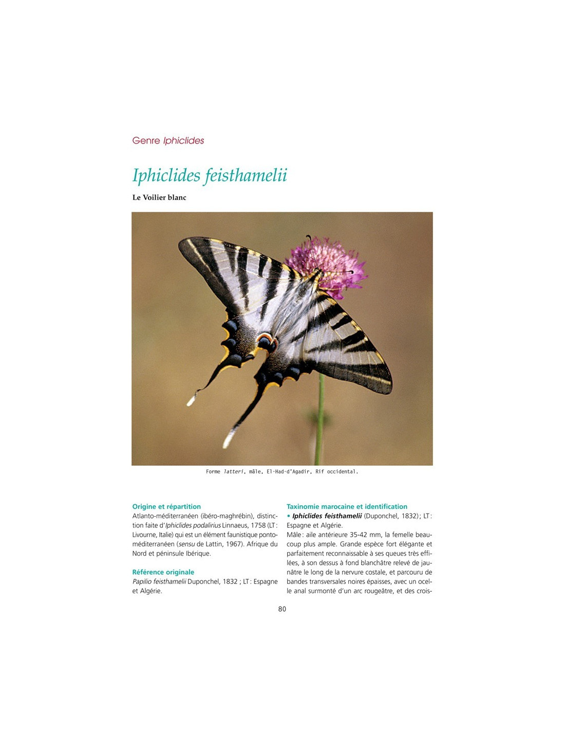 Les Papillons de jour du Maroc - Guide d’identification et de bio-indication