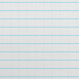 Rite in the Rain Wasserfestes seitlich geheftete Notizbuch