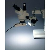 AmScope 8W Mikroskop-Fluoreszenz-Ringlicht
