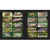 European Butterflies and Zygaenids (20-Volume Set) - Northern and Central Europe Including the Alps - Ecology, Conservation, Habitats, Imagines and Pre-Imaginal Stages