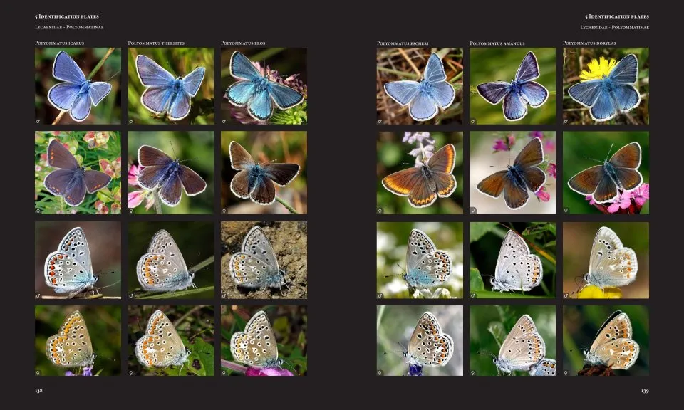 European Butterflies and Zygaenids (20-Volume Set) - Northern and Central Europe Including the Alps - Ecology, Conservation, Habitats, Imagines and Pre-Imaginal Stages