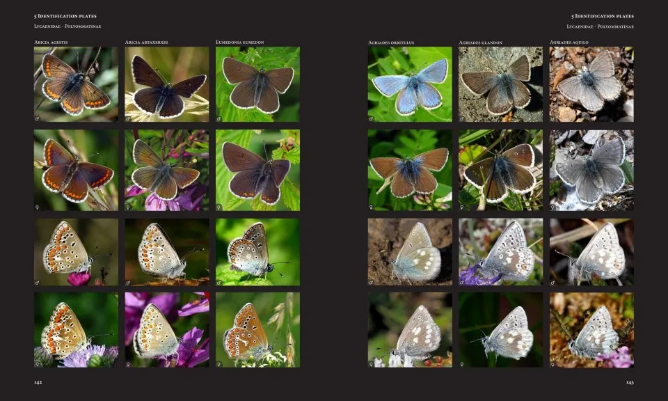 European Butterflies and Zygaenids (20-Volume Set) - Northern and Central Europe Including the Alps - Ecology, Conservation, Habitats, Imagines and Pre-Imaginal Stages