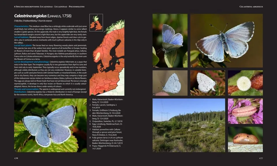 European Butterflies and Zygaenids (20-Volume Set) - Northern and Central Europe Including the Alps - Ecology, Conservation, Habitats, Imagines and Pre-Imaginal Stages