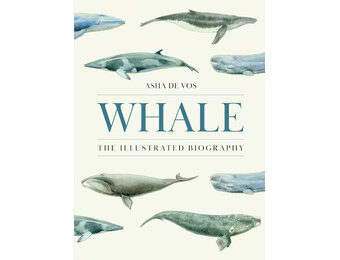 Whale: The Illustrated Biography