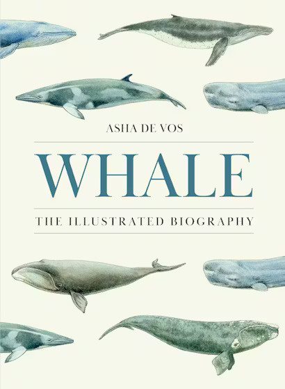 Whale: The Illustrated Biography